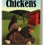 Chicken-book-with-depth-scaled